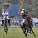 Polo Horse Assn joins with AQHA